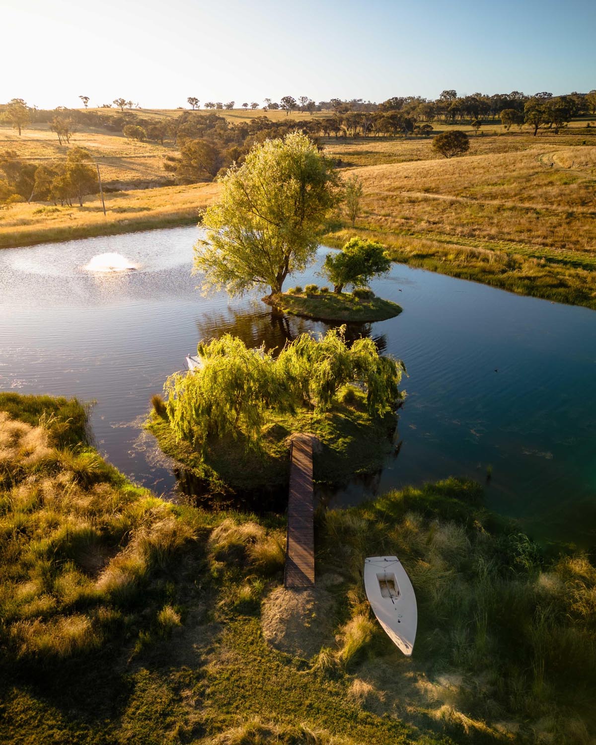 Natural Swimming Pond Drone